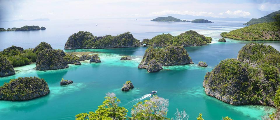 Papua Paradise Eco Resort
