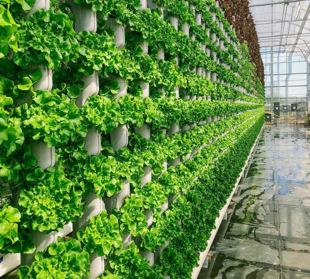 AGRITECTURE