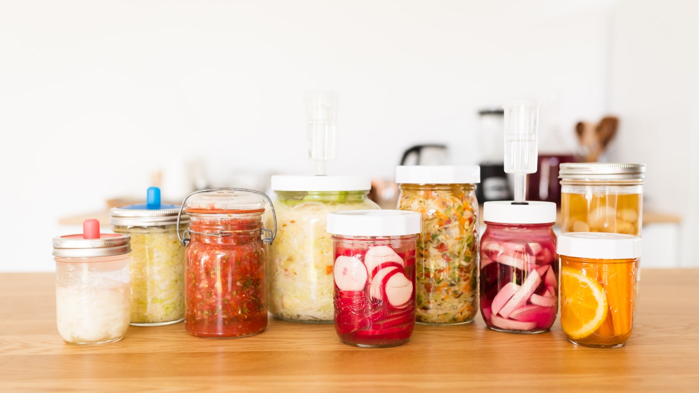 revolutionfermentation.com