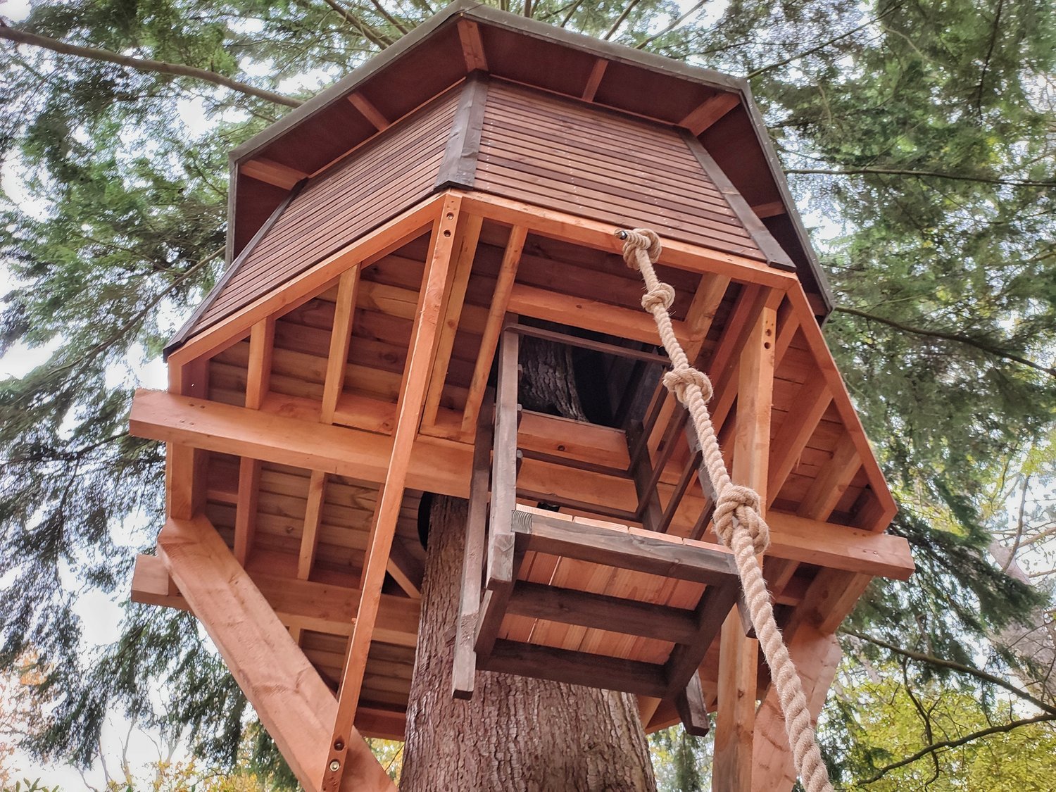 Treehouse Builders UK | Treehouses UK | Treetop Co UK